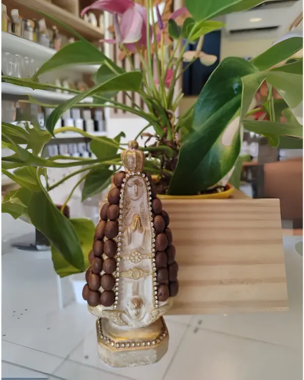 Imagem Nossa Senhora Aparecida | Artesanal com Detalhes Únicos